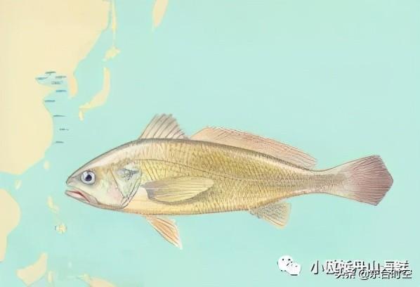 С������ʳ��_�＾����ʳ��_�＾����ʳ��