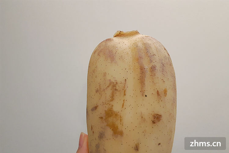 ���걦�����ʳ��