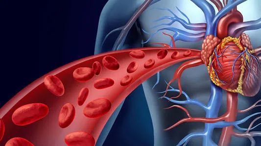 �Ŷ��ȵ��صĸ�����_���Ŷ�ø�����޻��Ա�_�Ŷ�����øʳ��