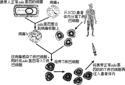 ����������������_�Ŷ�����øʳ��_�Ŷ�����øʳ��