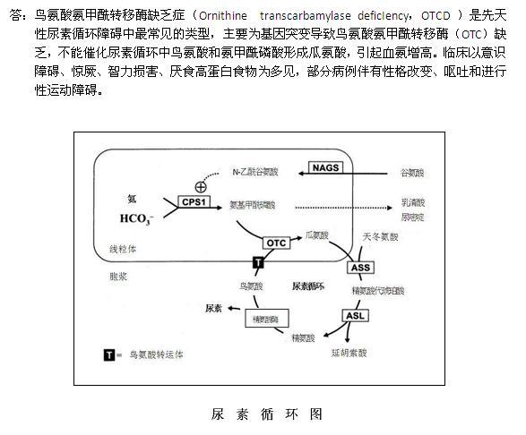 �Ŷ�����øʳ��_����������������_�Ŷ�����øʳ��