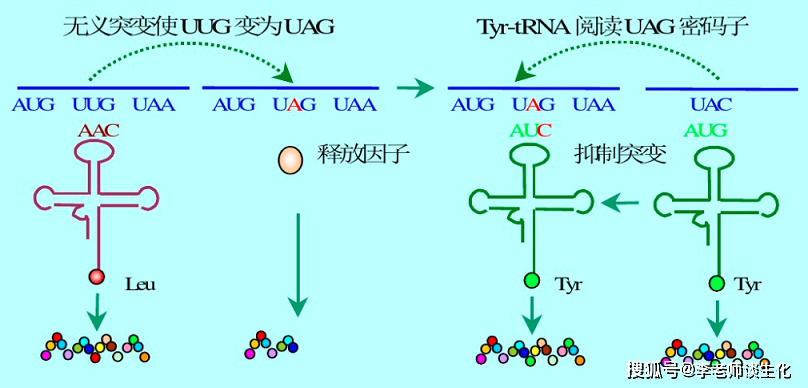 �Ŷ�����øʳ��_�Ŷ�����øʳ��_����������������