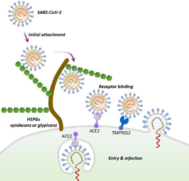 �Ŷ�����øʳ��_���Ŷ�ø����Ǯһ֧_���Ŷ�ø�����޻��Ա�