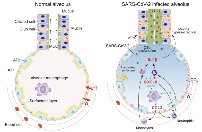 �Ŷ�����øʳ��_���Ŷ�ø����Ǯһ֧_���Ŷ�ø�����޻��Ա�