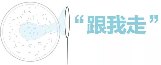 5���ͯ����ʳ��_�����ͯ����ʳ��_3���ͯ����ʳ��