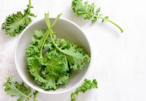 榨汁水果搭配食谱_鲜果榨汁食谱_榨汁食谱