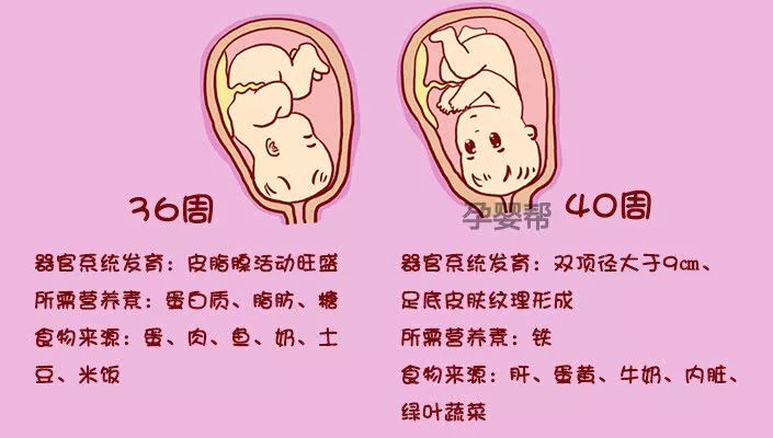 �������ڲ��ܳ�ʲô_�ΰ�������ʳʳ��_��������ʳ��