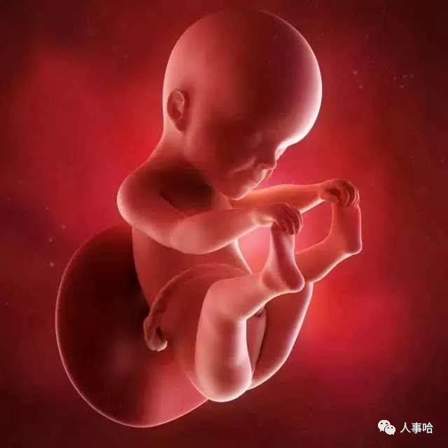 �ΰ�������ʳʳ��_�������ڲ��ܳ�ʲô_��������ʳ��