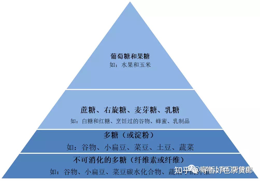 ��Ѫ��ʳ��