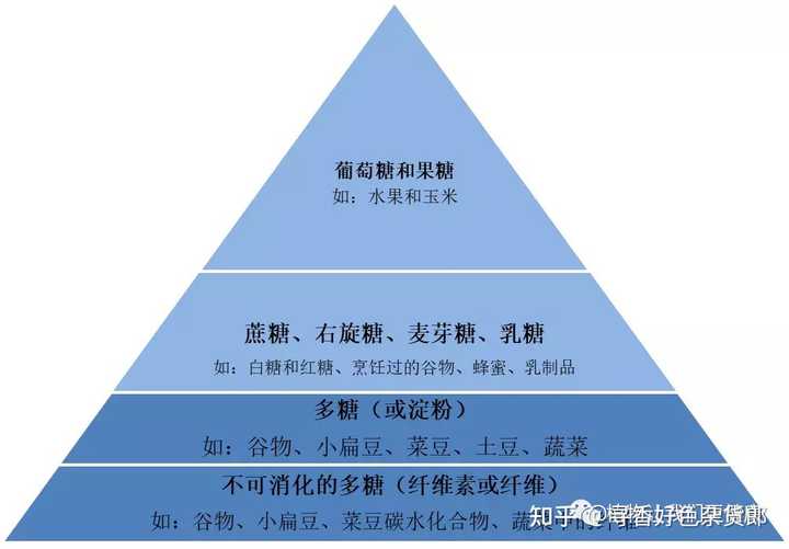 ��Ѫ��ʳ��