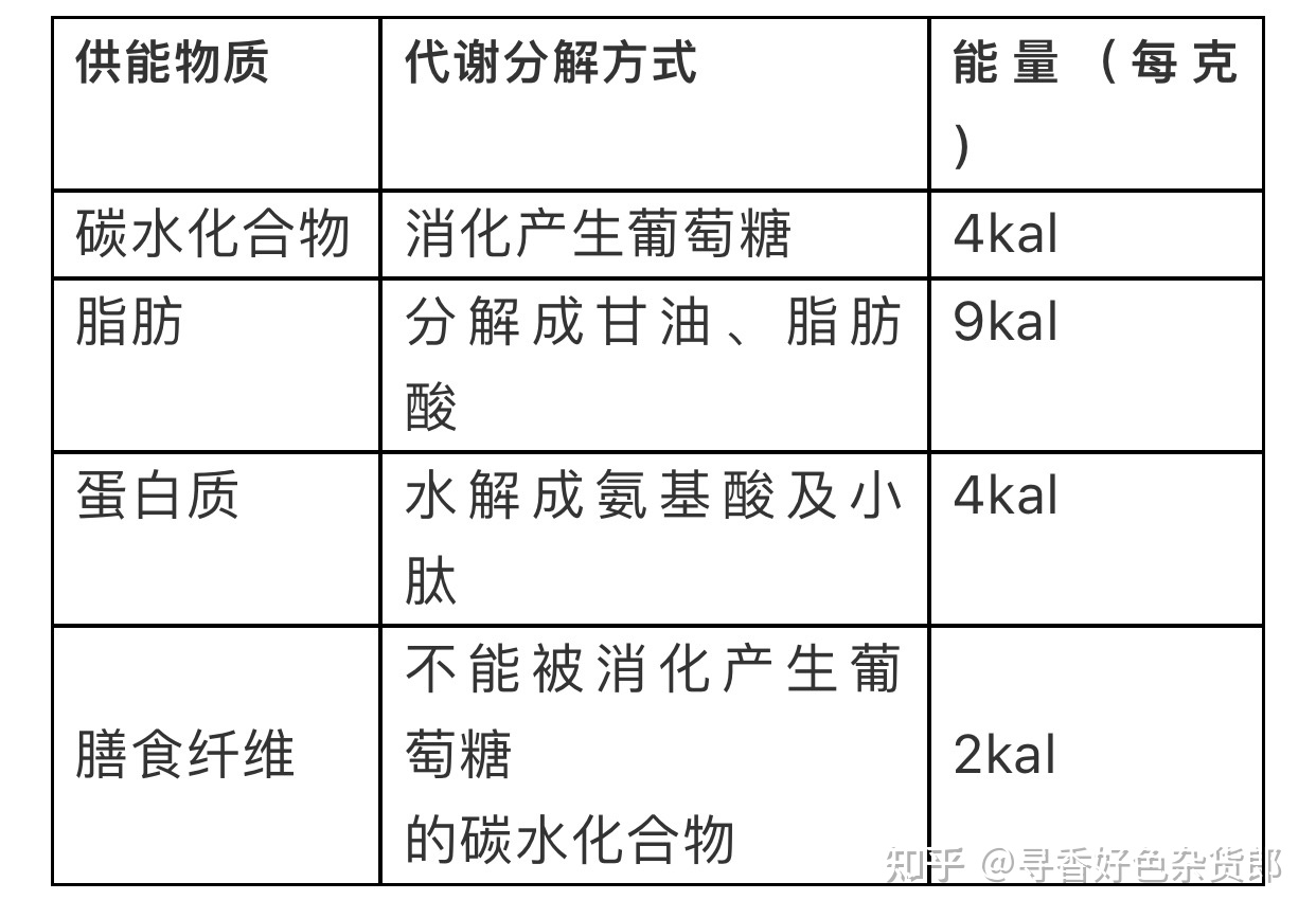 ��Ѫ��ʳ��