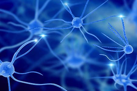 哺乳期的白领奶水小说_哺乳期奶水多食谱_哺乳期的妈妈吃什么多奶水