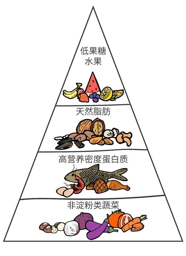 胰岛素高就是多囊卵巢_多囊卵巢高胰岛素食谱_多囊卵巢高胰岛素食谱