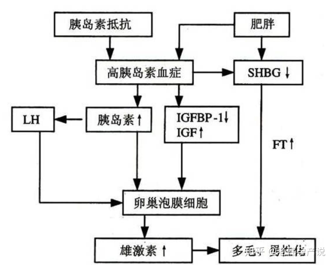 �����ѳ����ȵ���ʳ��