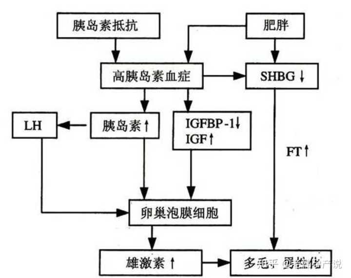 �����ѳ����ȵ���ʳ��