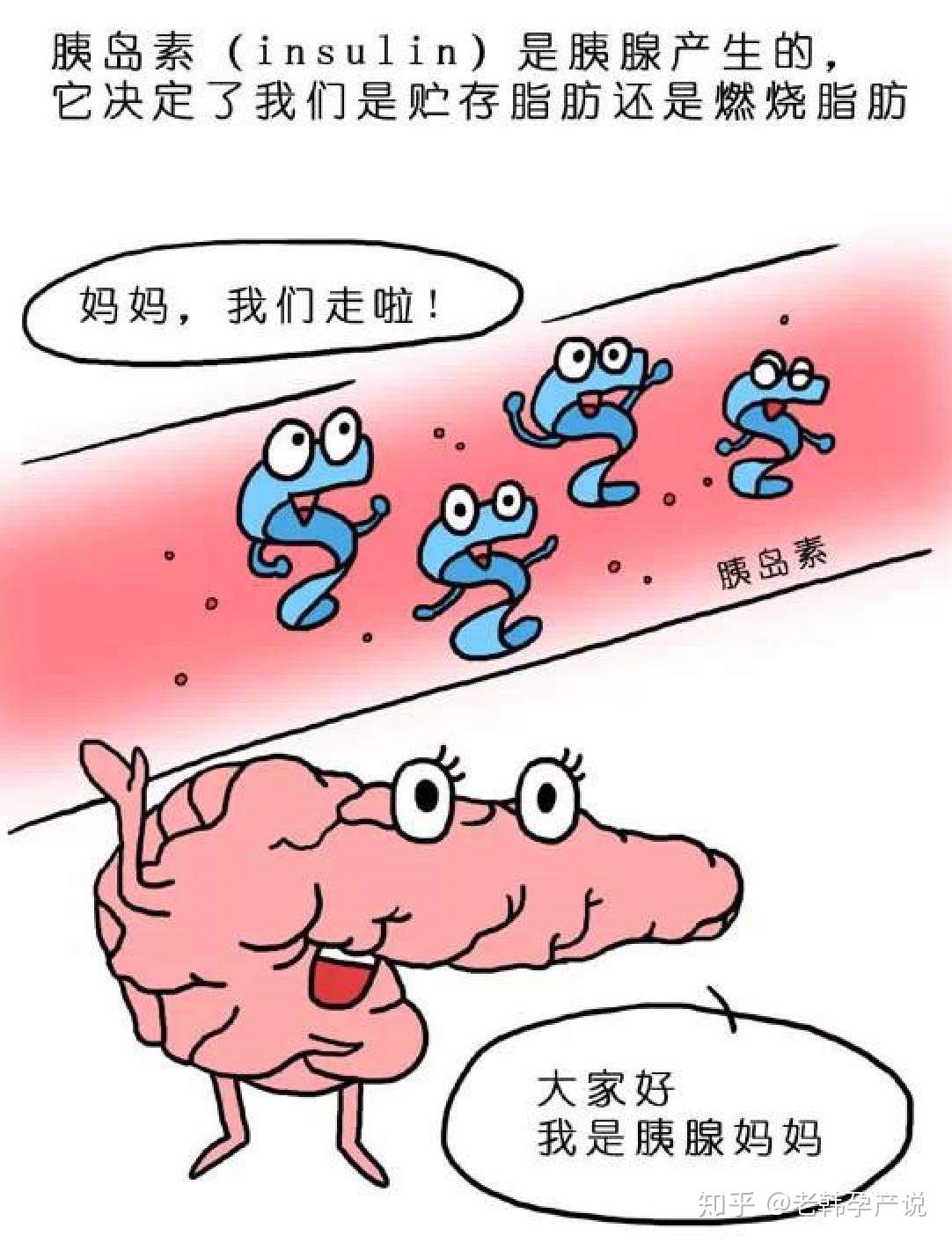 �����ѳ����ȵ���ʳ��