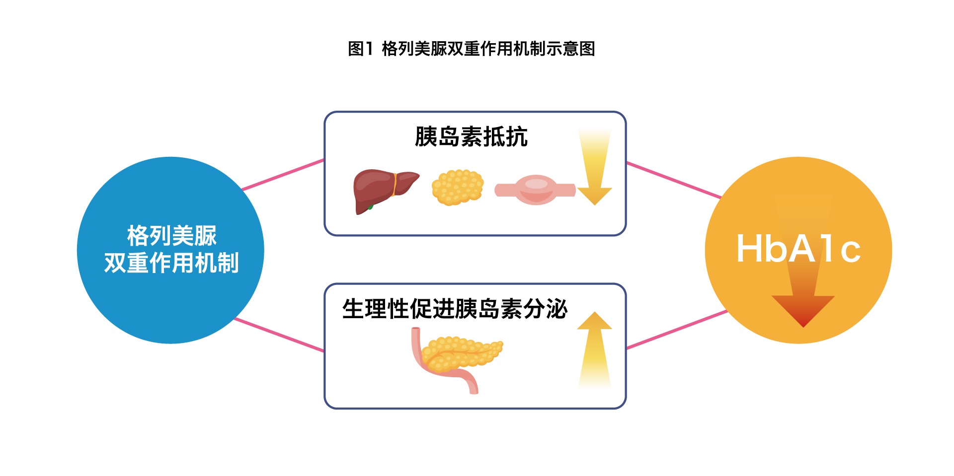 �����ѳ������ظ�_�ȵ��ظ� �����ѳ�_�����ѳ����ȵ���ʳ��