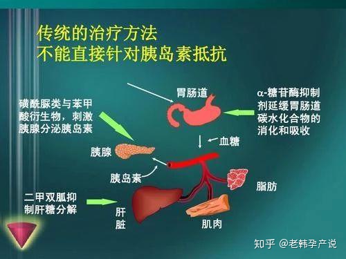 �����ѳ����ȵ���ʳ��