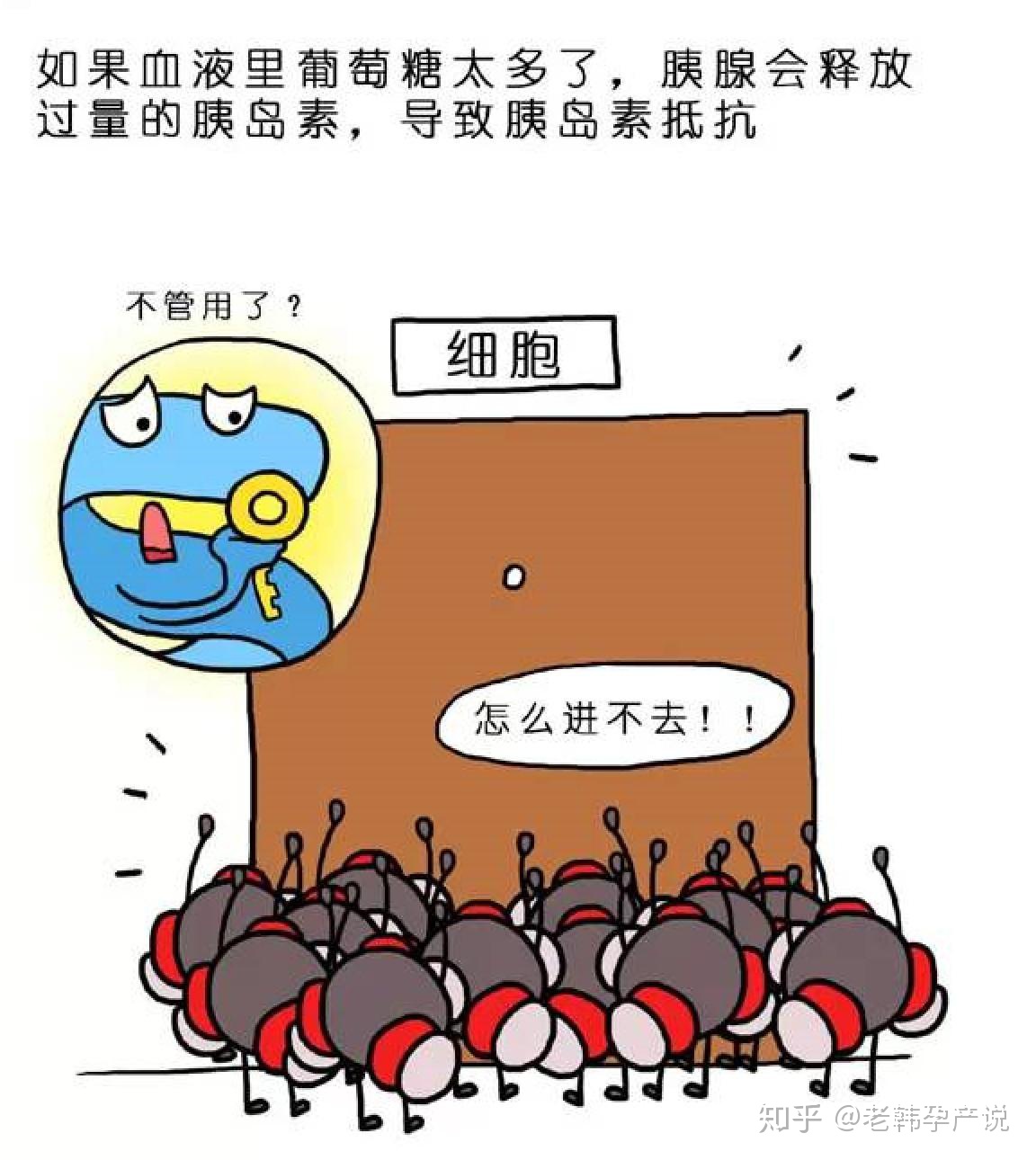 �����ѳ����ȵ���ʳ��