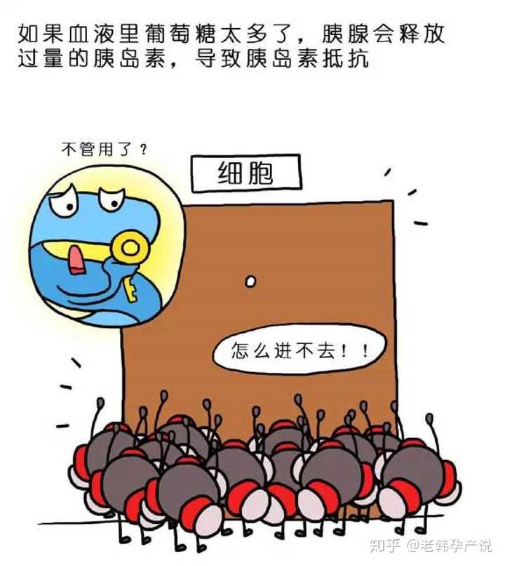 �����ѳ����ȵ���ʳ��