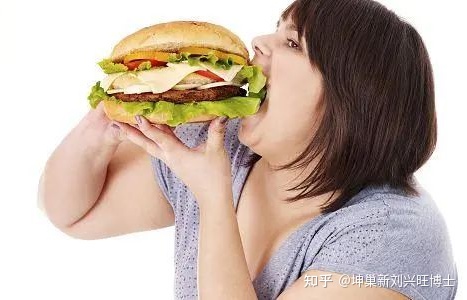 �����ѳ����ȵ���ʳ��