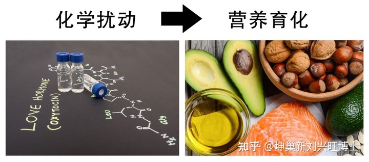 �����ѳ����ȵ���ʳ��