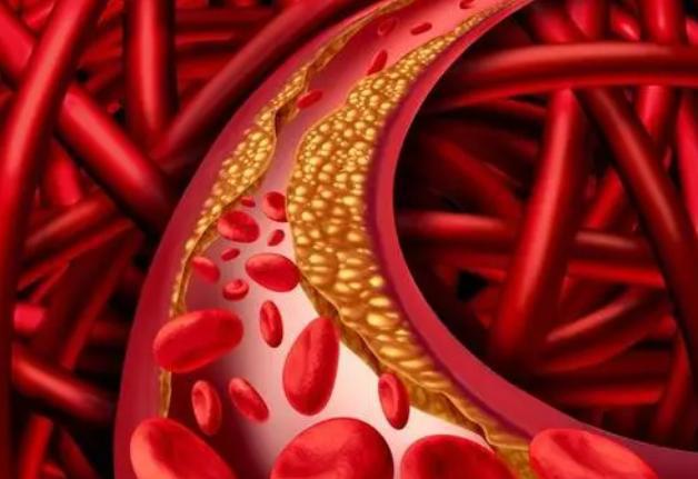 ���������ʳ�����ɵ�����_�������ʳ��_��������������ʳ��