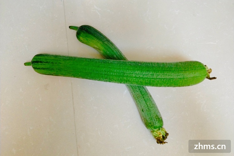 ȥ������ʳ��