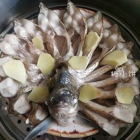 ڡ㡿ͼƬ5