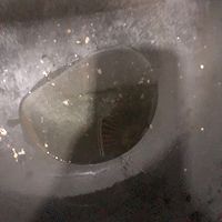ʮСϺͼƬ4