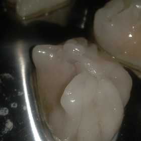 ۼ@