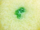 ˼ձ棩