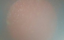 ţβ